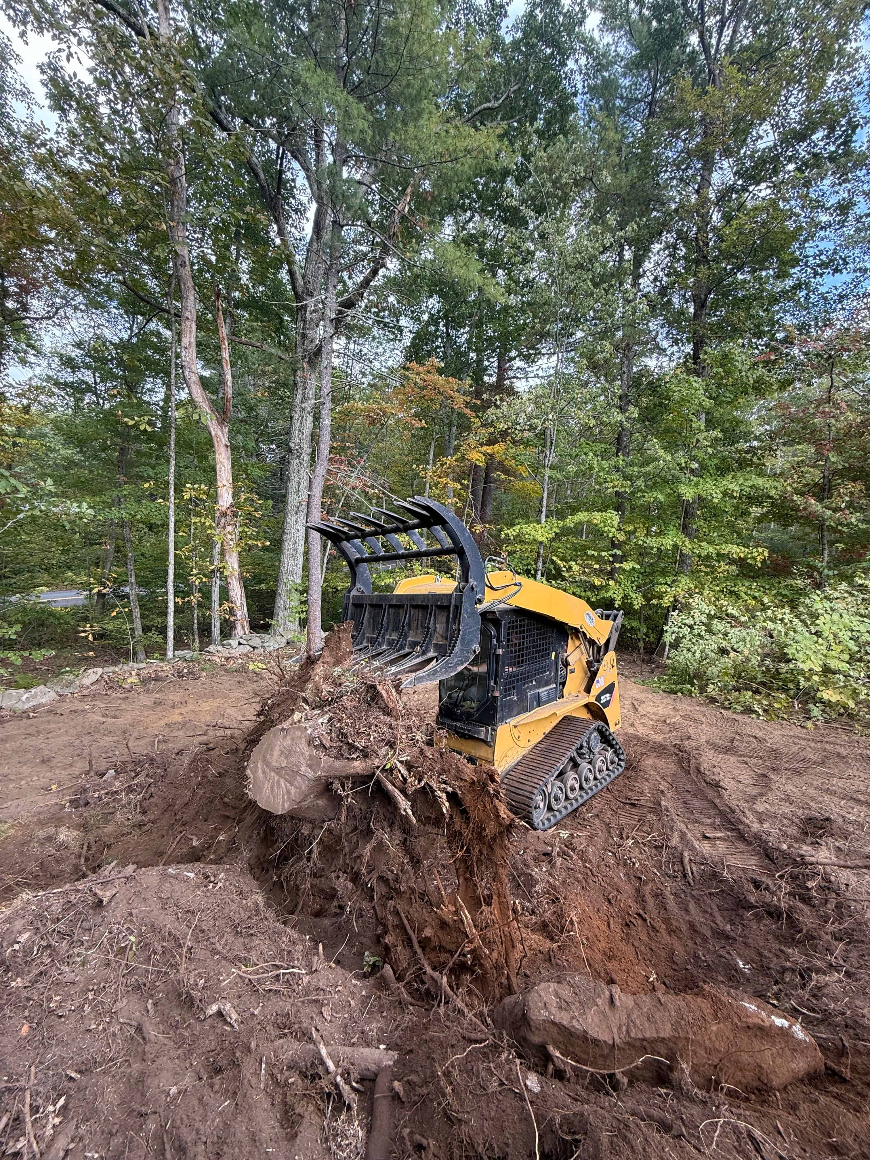 Brush Removal and Stump Grinding image