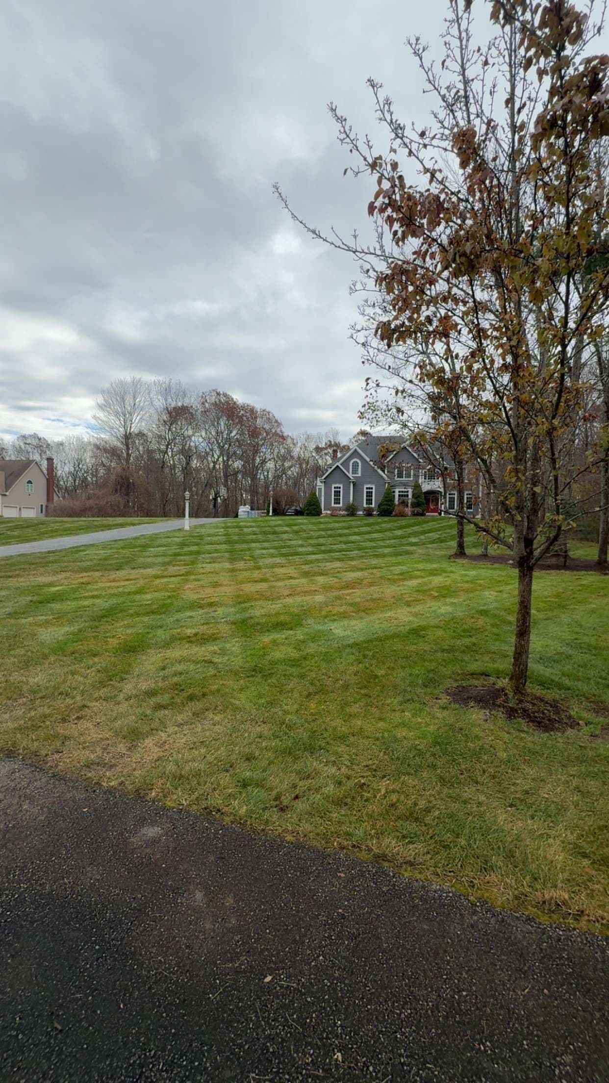 Gallery photos for Autumn Lawn Perfection with Nicks Landscaping: Image #3