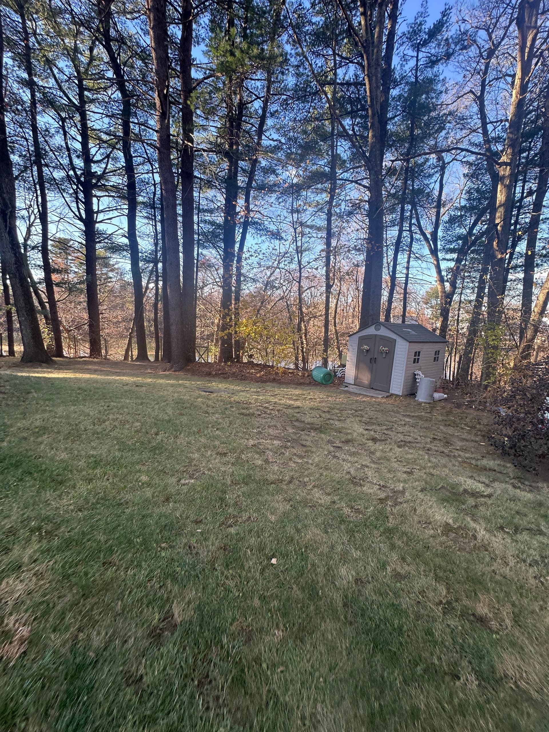 Gallery photos for Turning Fallen Leaves into Lush Lawns: Image #1