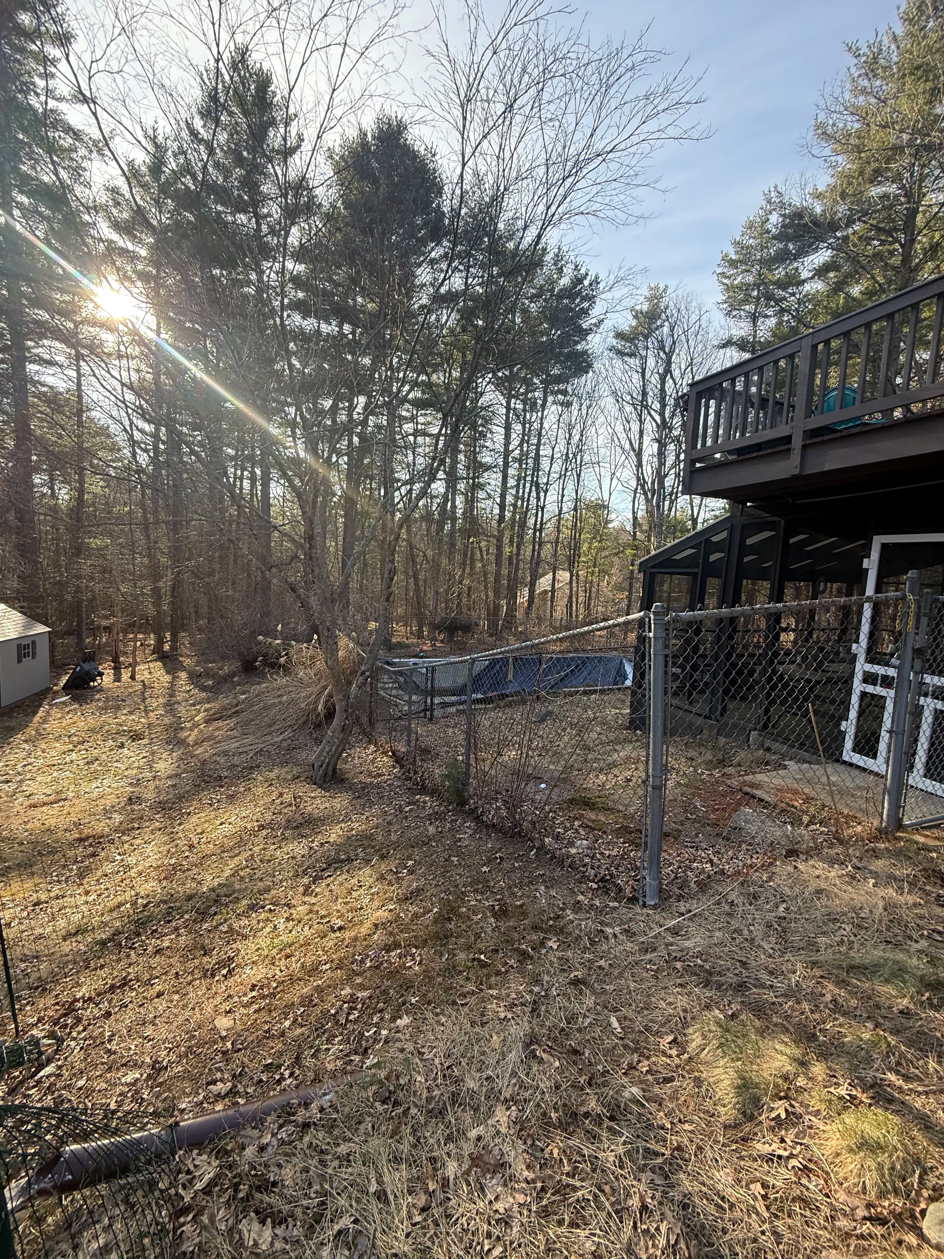 Project In-Ground Pool Demo and Yard Reclaim in Millis MA image