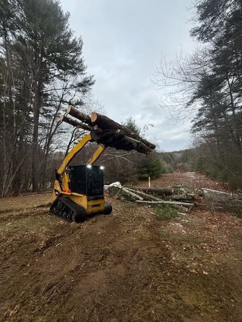 Land clearing  image