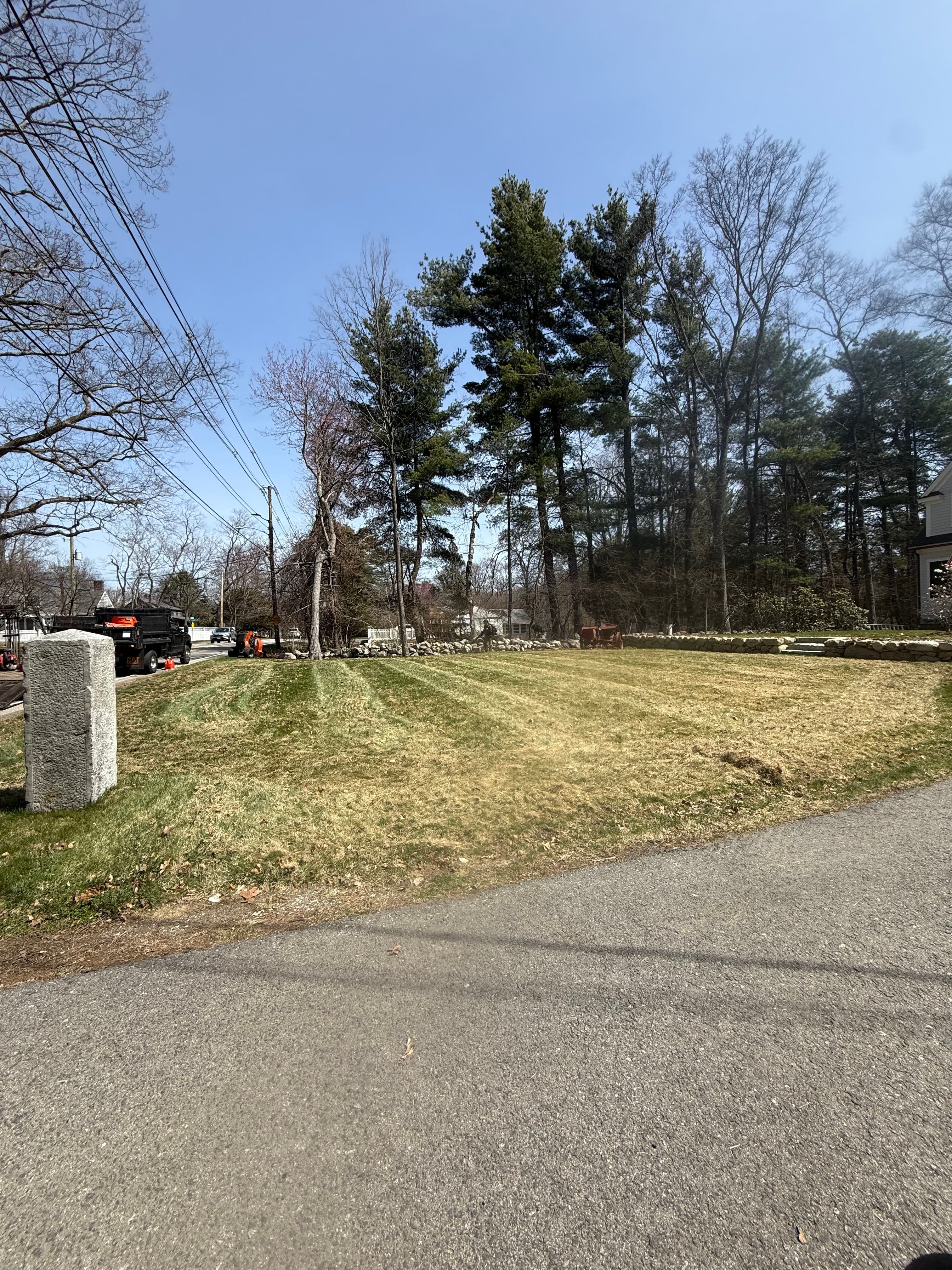 Project Spring Cleanup and Dethatching That Actually Makes a Difference image