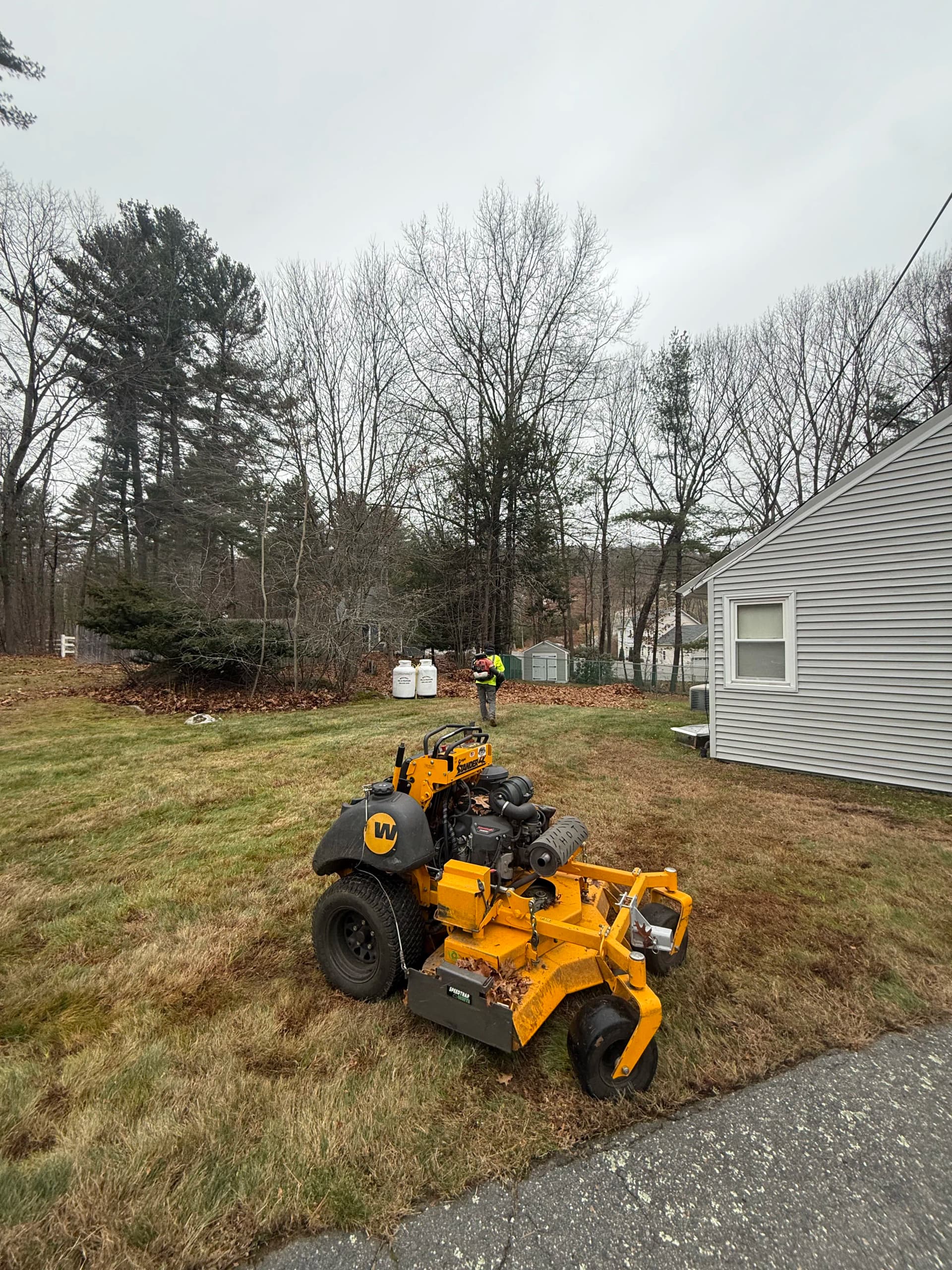 Fall Cleanup Is Here and We're Already on It image