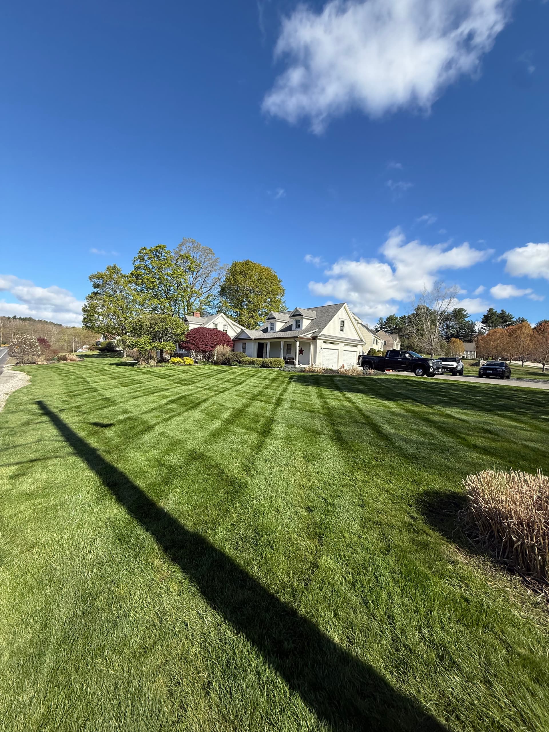 Gallery photos for Mowing Season Is Here and Your Lawn Should Show It: Image #4