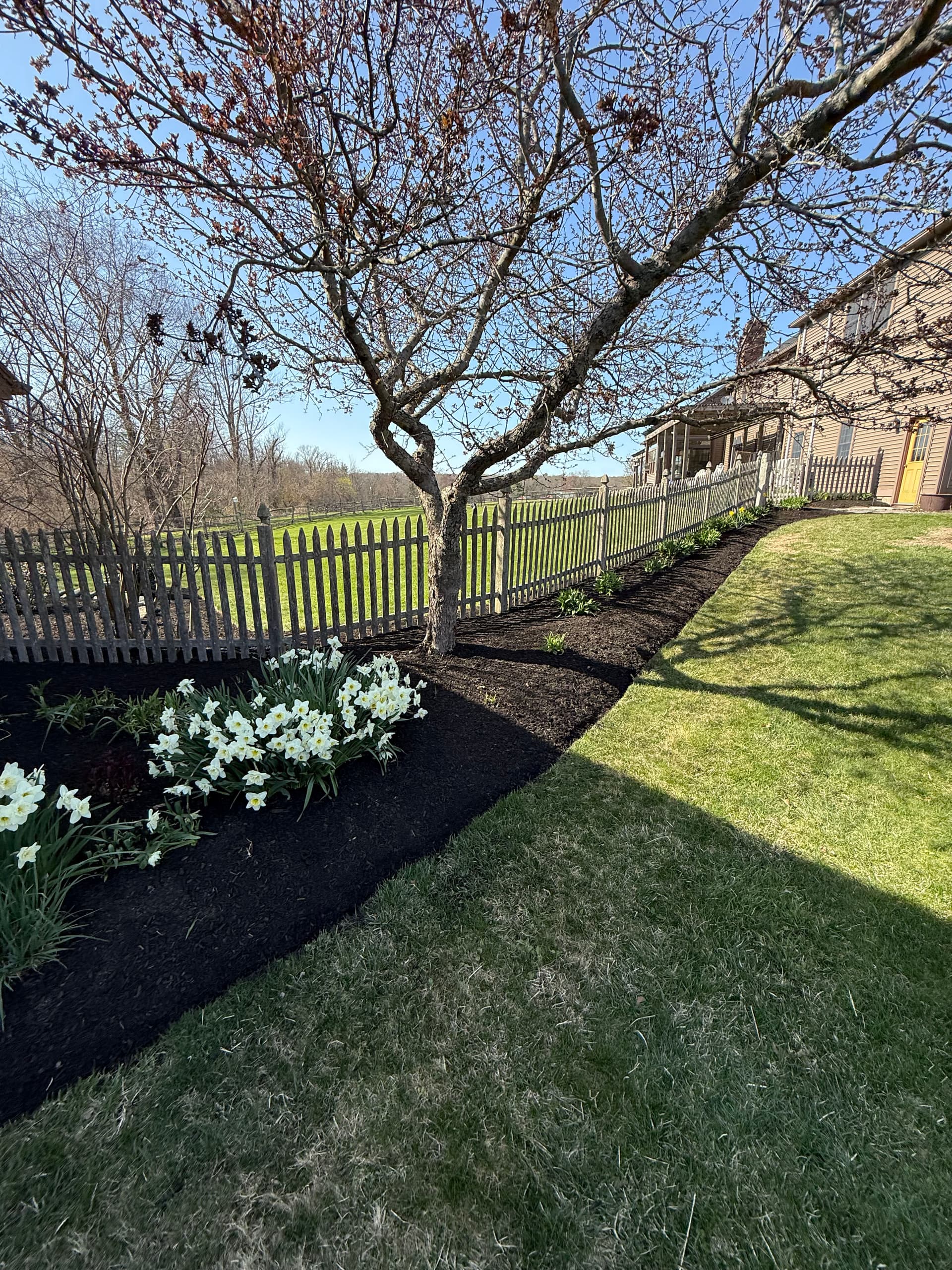 Revamping Outdoor Spaces with Fresh Mulch and Stone Accents image