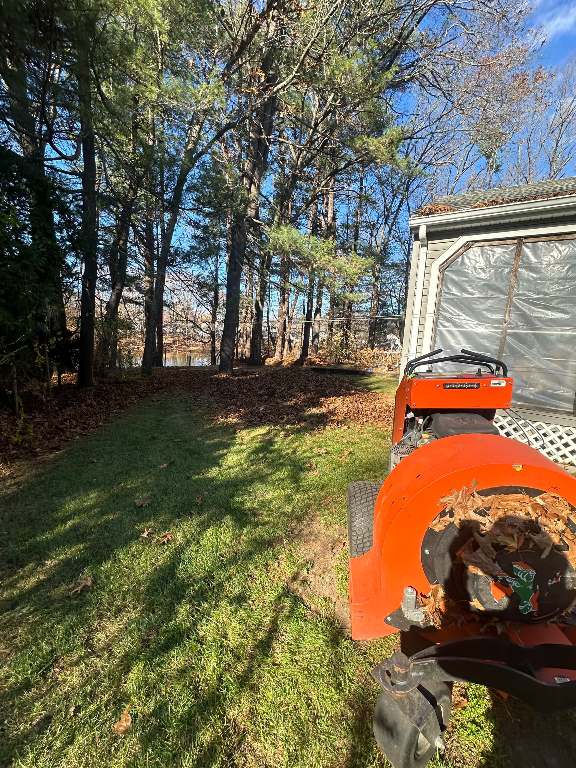Gallery photos for Fall Cleanup Season Is Here and We're Ready: Image #2