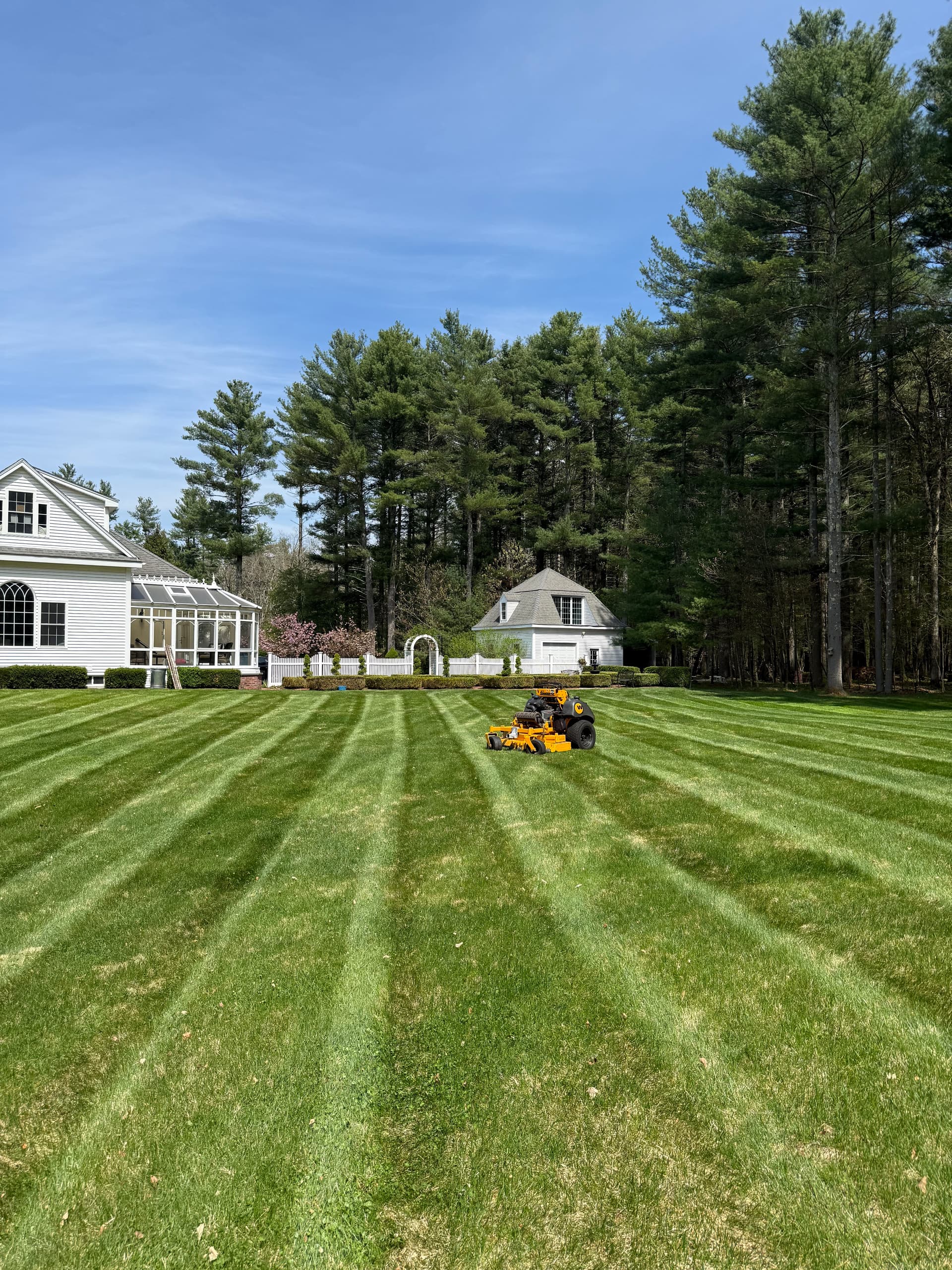 Gallery photos for Experience a Freshly Mowed Lawn with Our Expert Services: Image #1