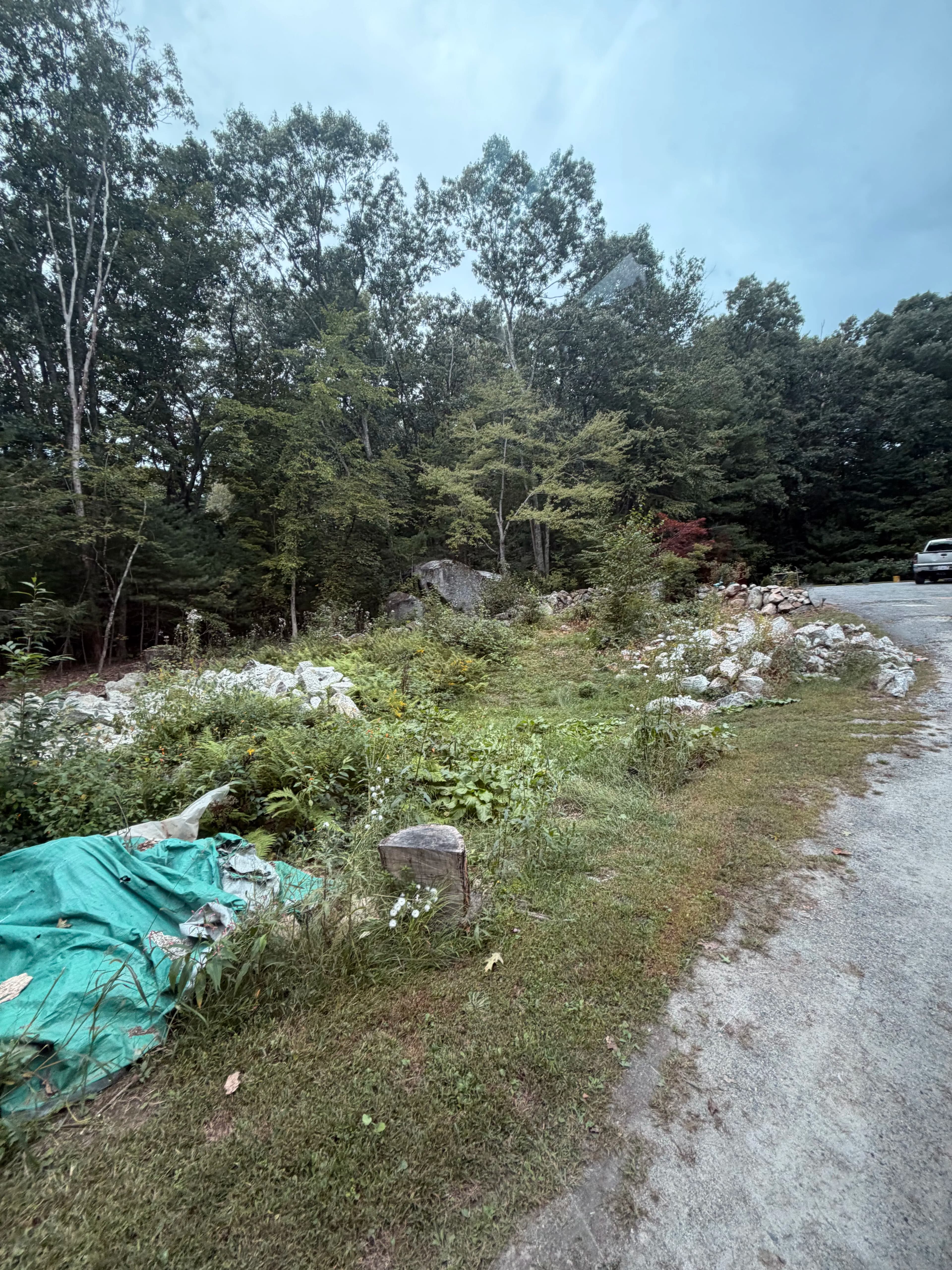 Project Garage Site Prep - Stumps, Ledge Rock, and Grading Done Right image