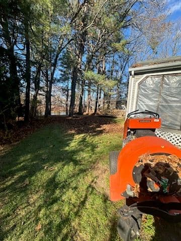 Enhance Your Outdoors with Our Fall Yard Cleanup image