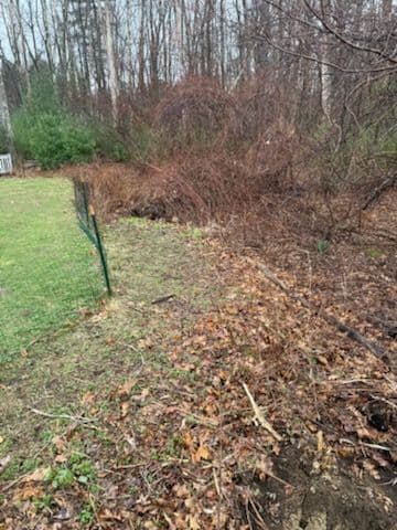 Land Clearing and Stump Removal image