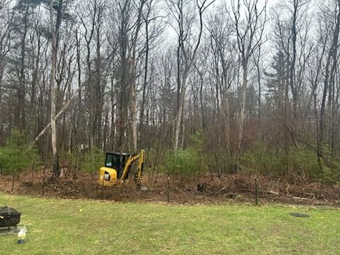 Gallery photos for Land Clearing and Stump Removal: Image #1