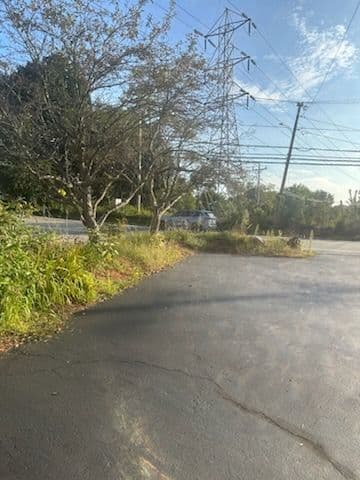Commercial Mulching Project image