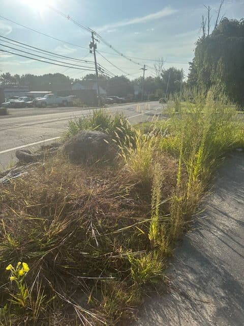 Gallery photos for Commercial Mulching Project: Image #3
