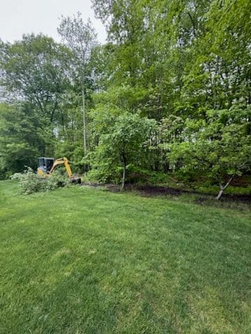 Gallery photos for Transforming Spaces with Precision Landscaping Services: Image #2