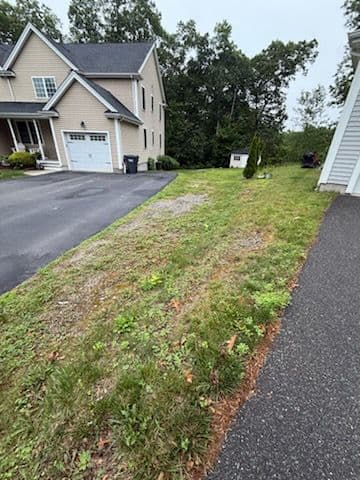 Gallery photos for Lush Lawn Transformation with Expert Loam Spreading: Image #1