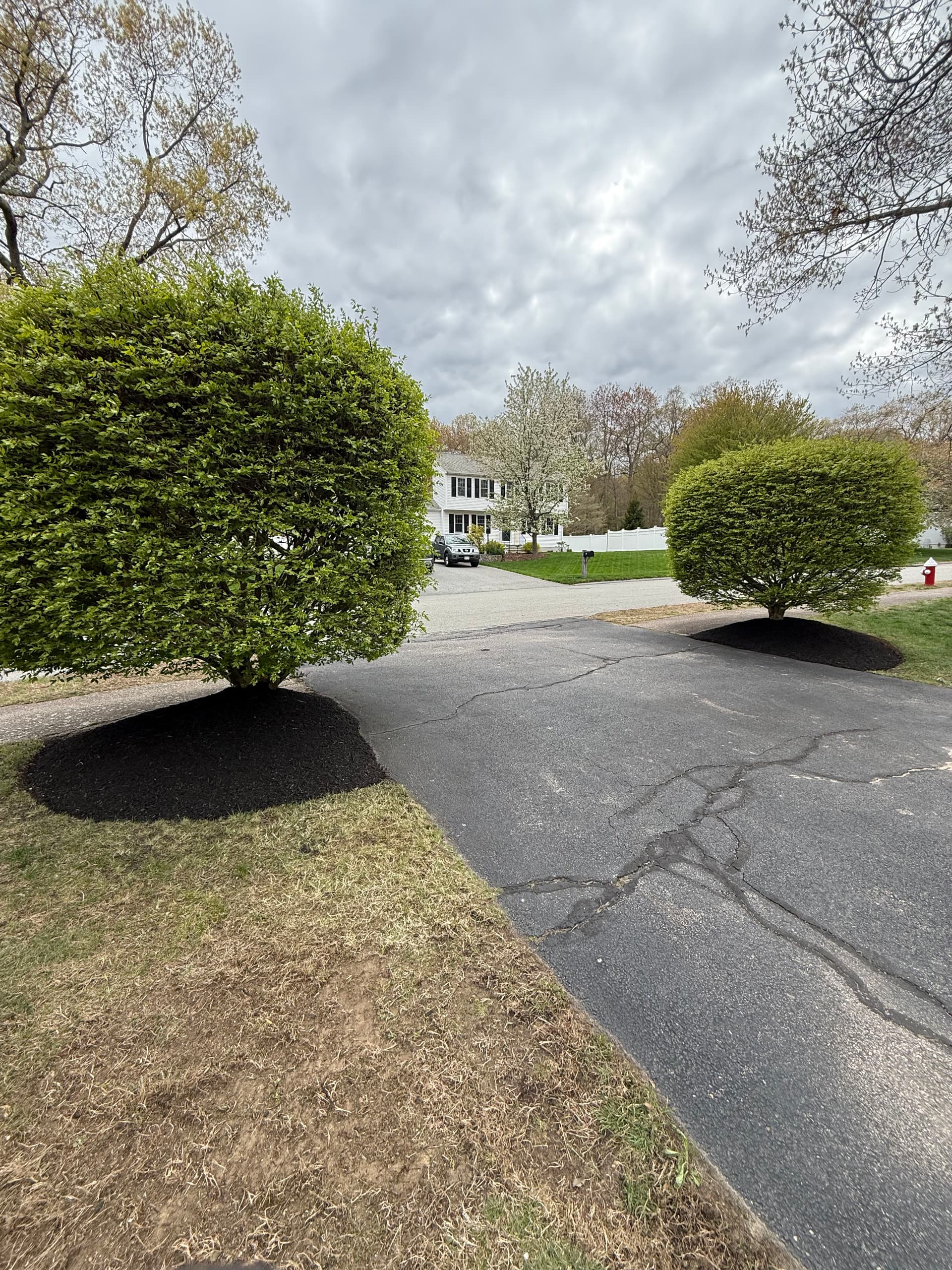 Gallery photos for Fresh Mulch Installs Across Residential and Commercial Properties: Image #6