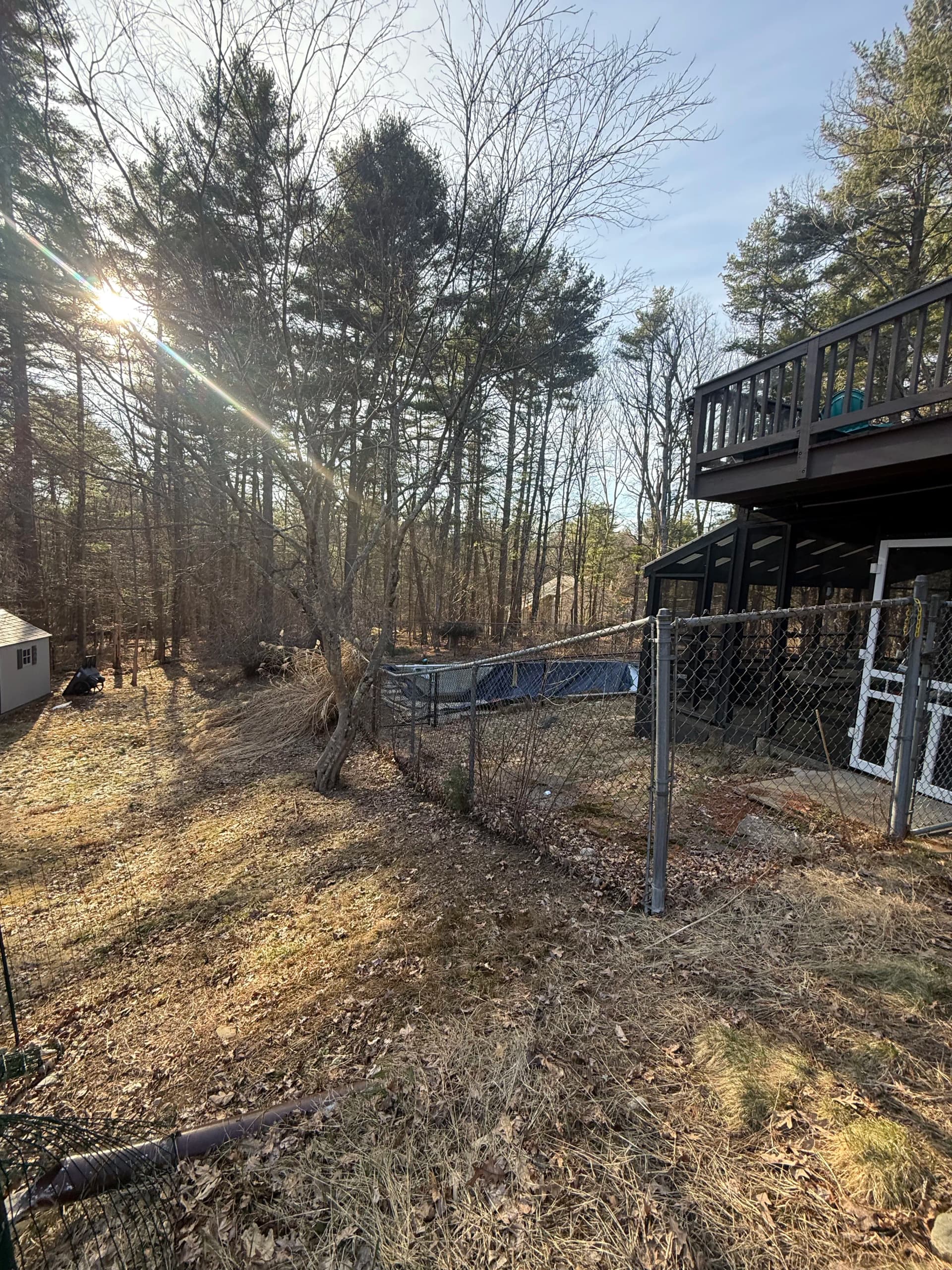 In-Ground Pool Demo and Yard Reclaim in Millis MA image
