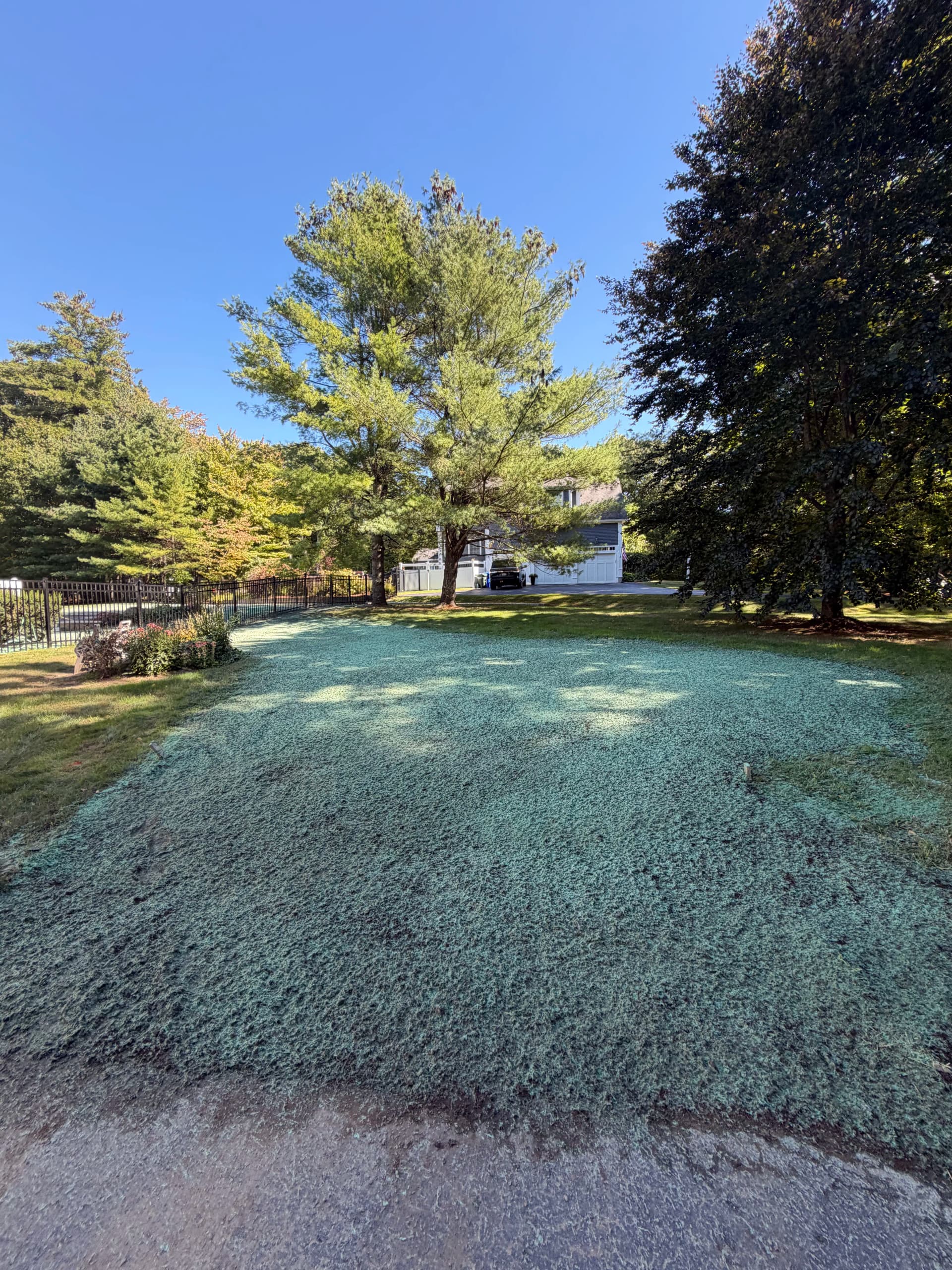 Gallery photos for From Bare Dirt to a Lawn Built to Last: Image #3