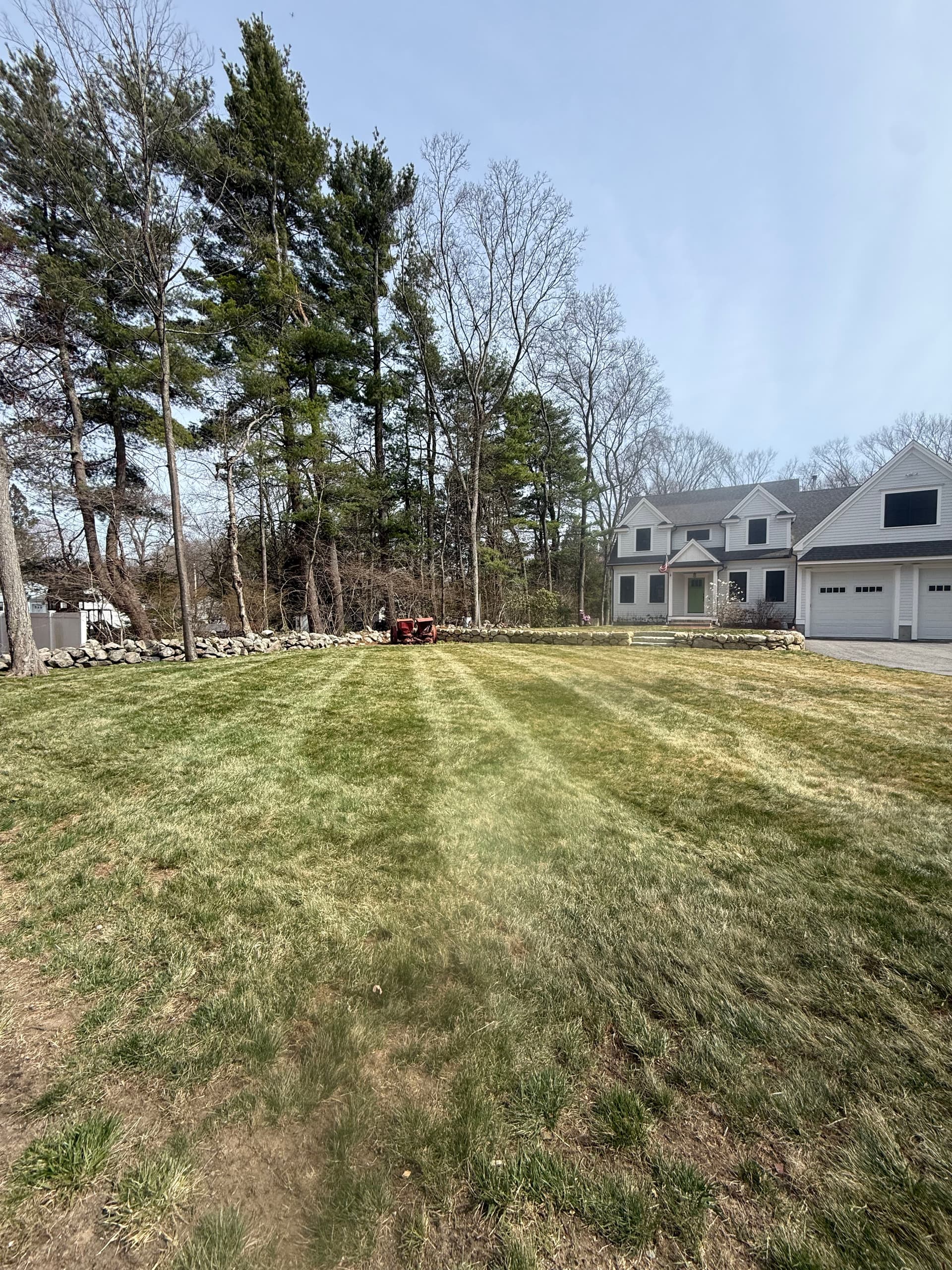 Gallery photos for Spring Cleanup and Dethatching That Actually Makes a Difference: Image #1