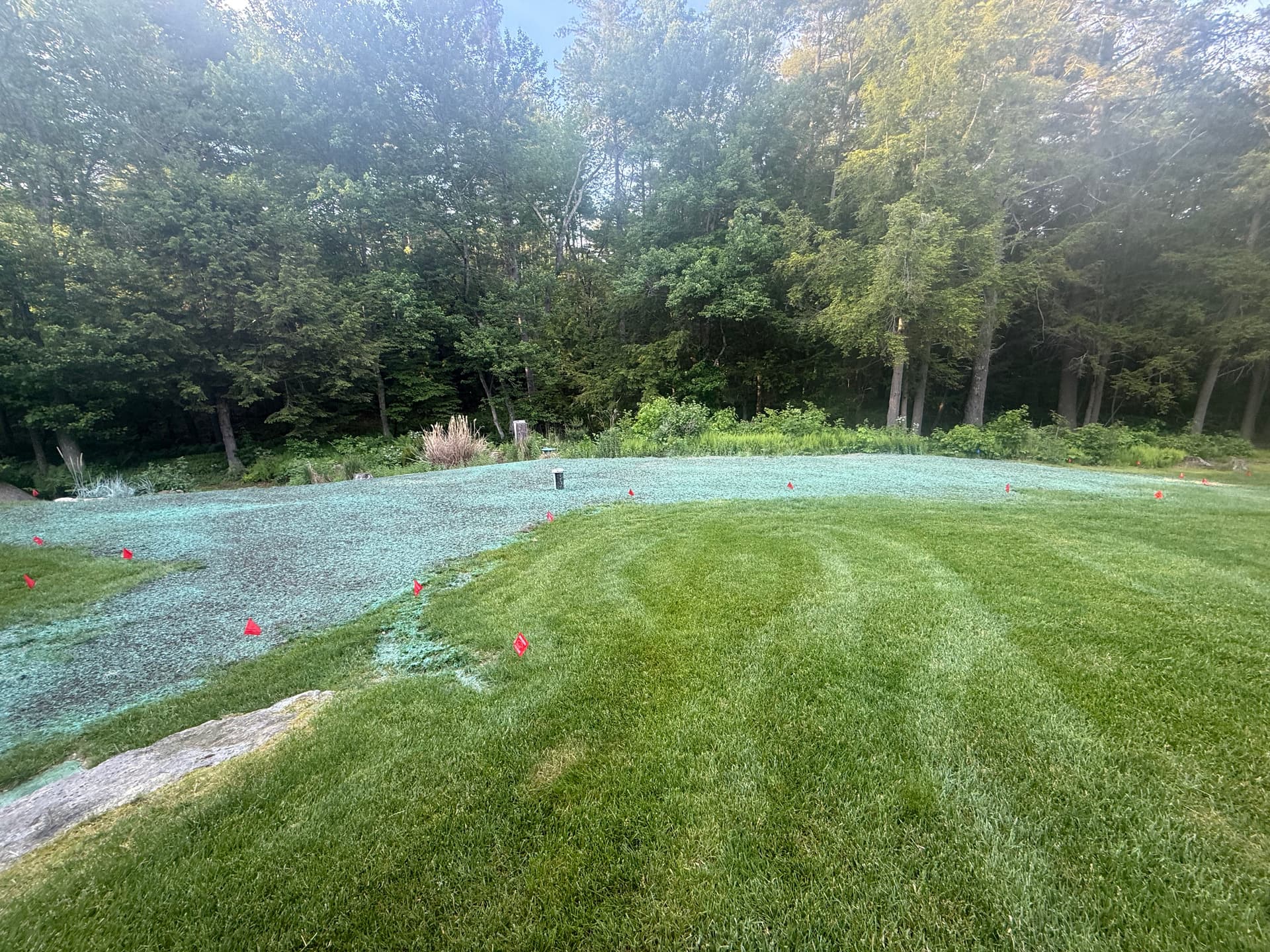 Gallery photos for Lawn Repair and Hydroseeding After Well Installation in Upton: Image #1
