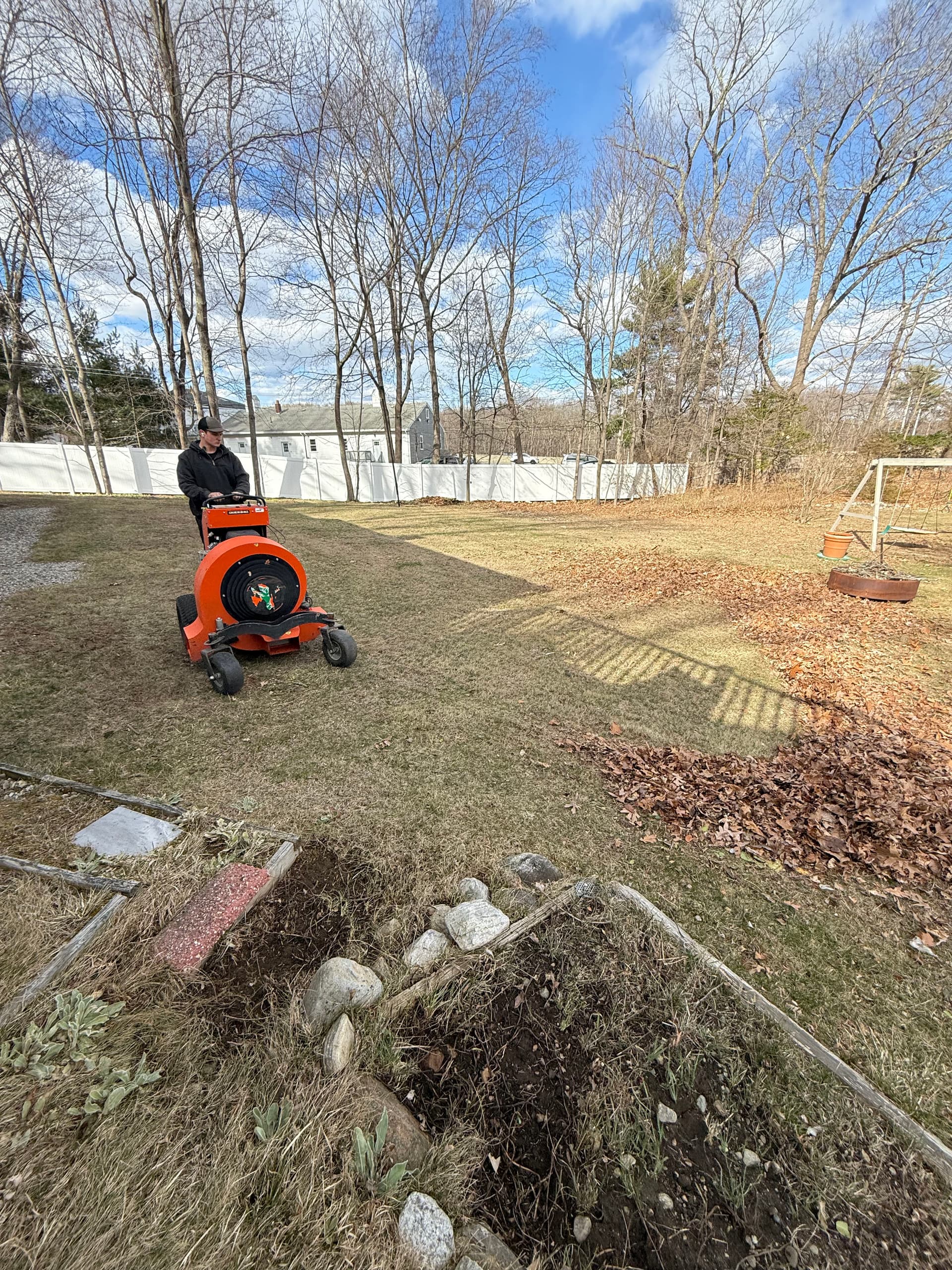 Gallery photos for Spring Lawn Refresh and Maintenance: Image #1