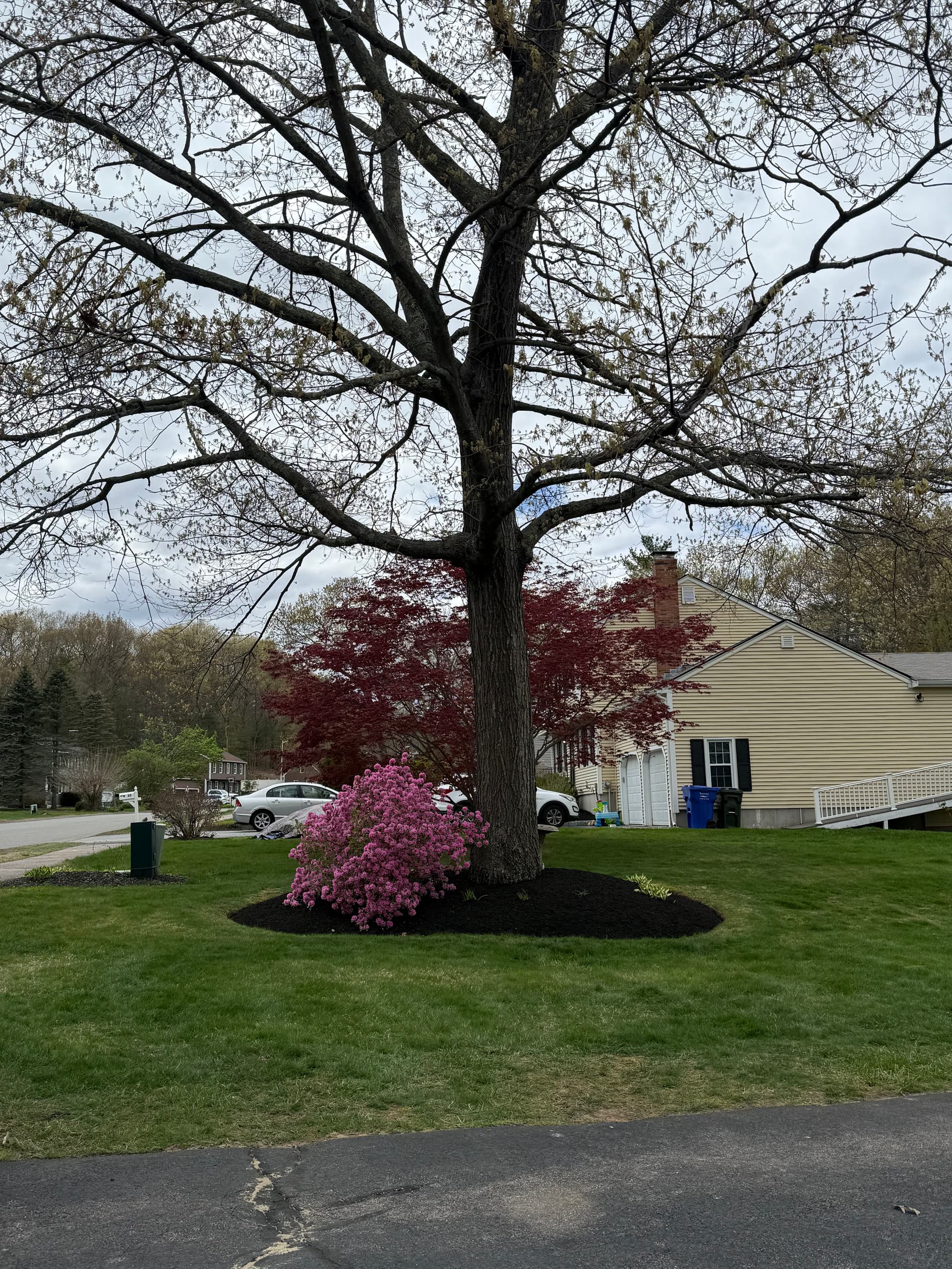 Gallery photos for Fresh Mulch Installs Across Residential and Commercial Properties: Image #1