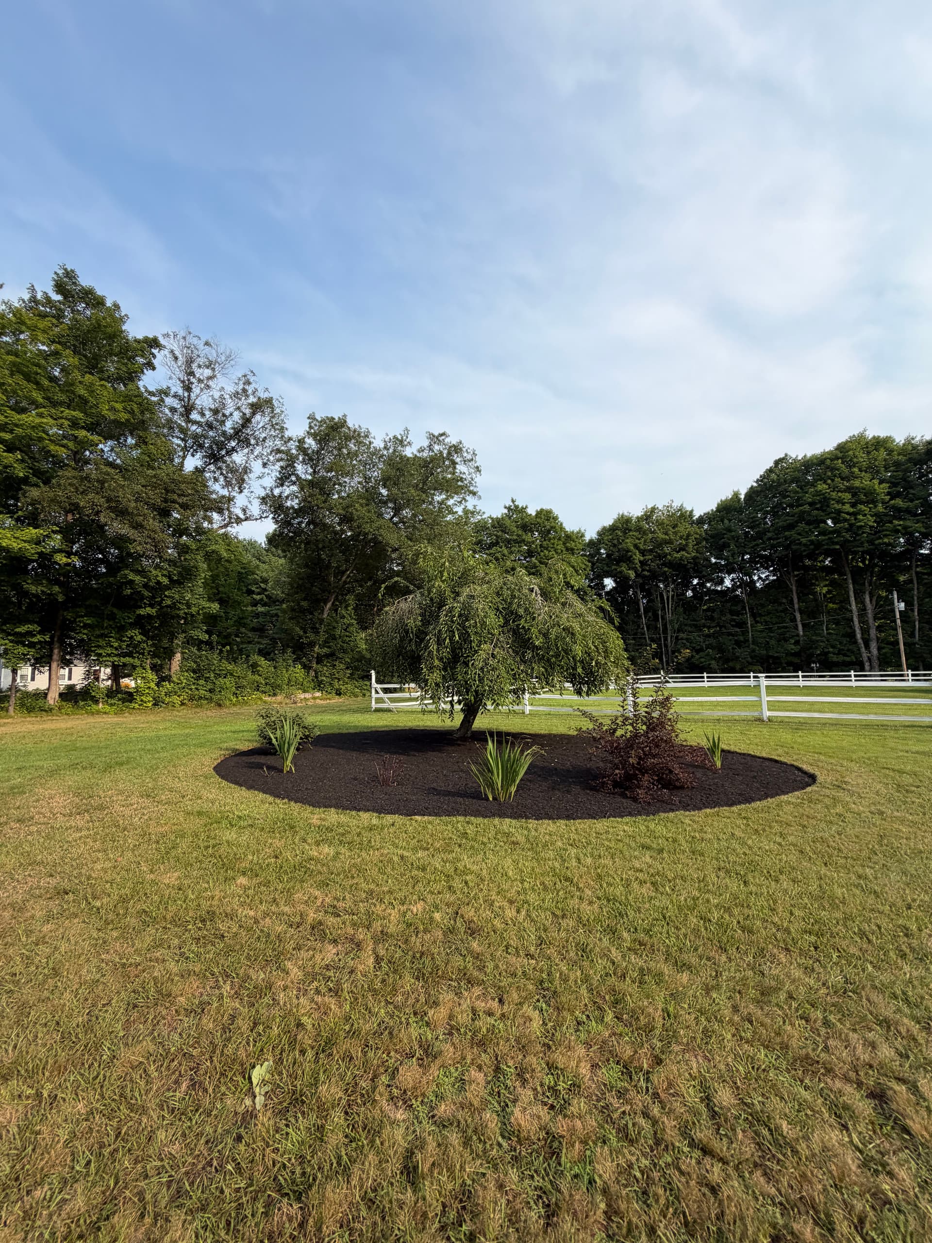 Gallery photos for 20 Yards of Black Mulch Laid Across a Sutton MA Property: Image #2