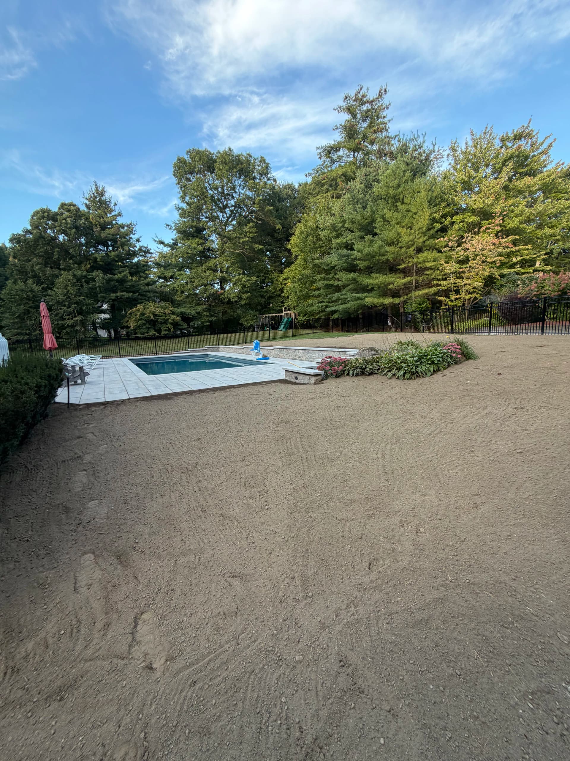 From Bare Dirt to a Lawn Built to Last image