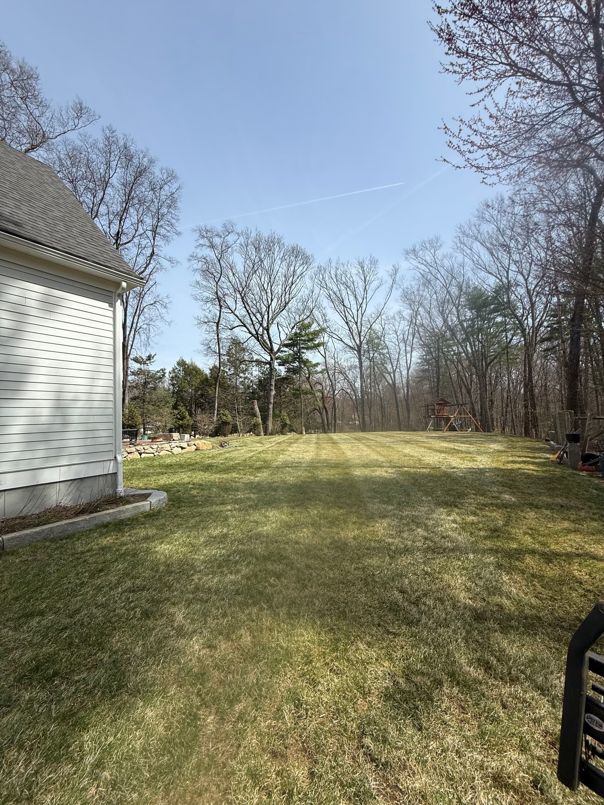 Gallery photos for Spring Cleanup and Dethatching That Actually Makes a Difference: Image #5