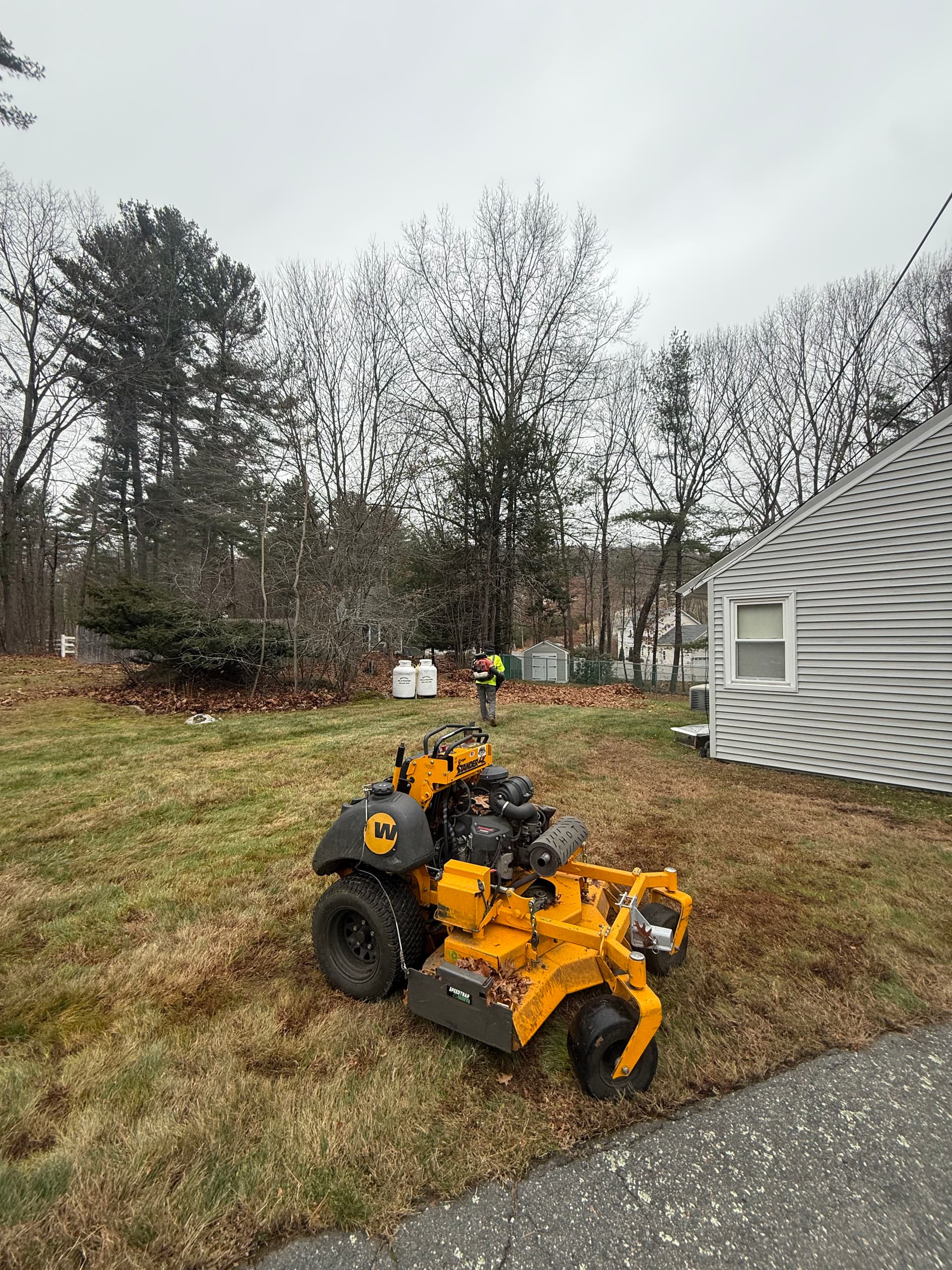 Spring Lawn Refresh and Maintenance image
