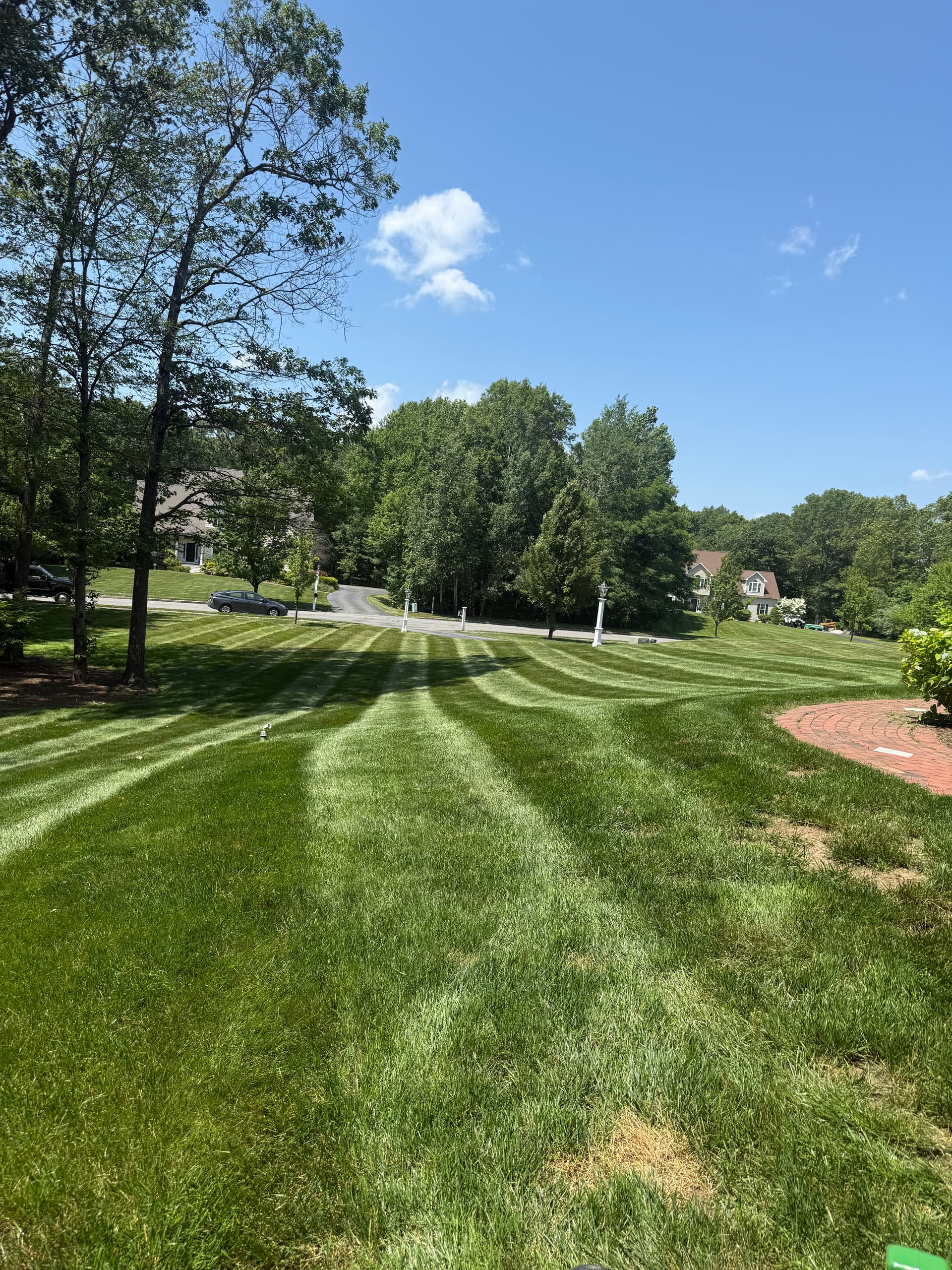 Gallery photos for Weekly Lawn Maintenance Highlights Pristine Landscapes: Image #3