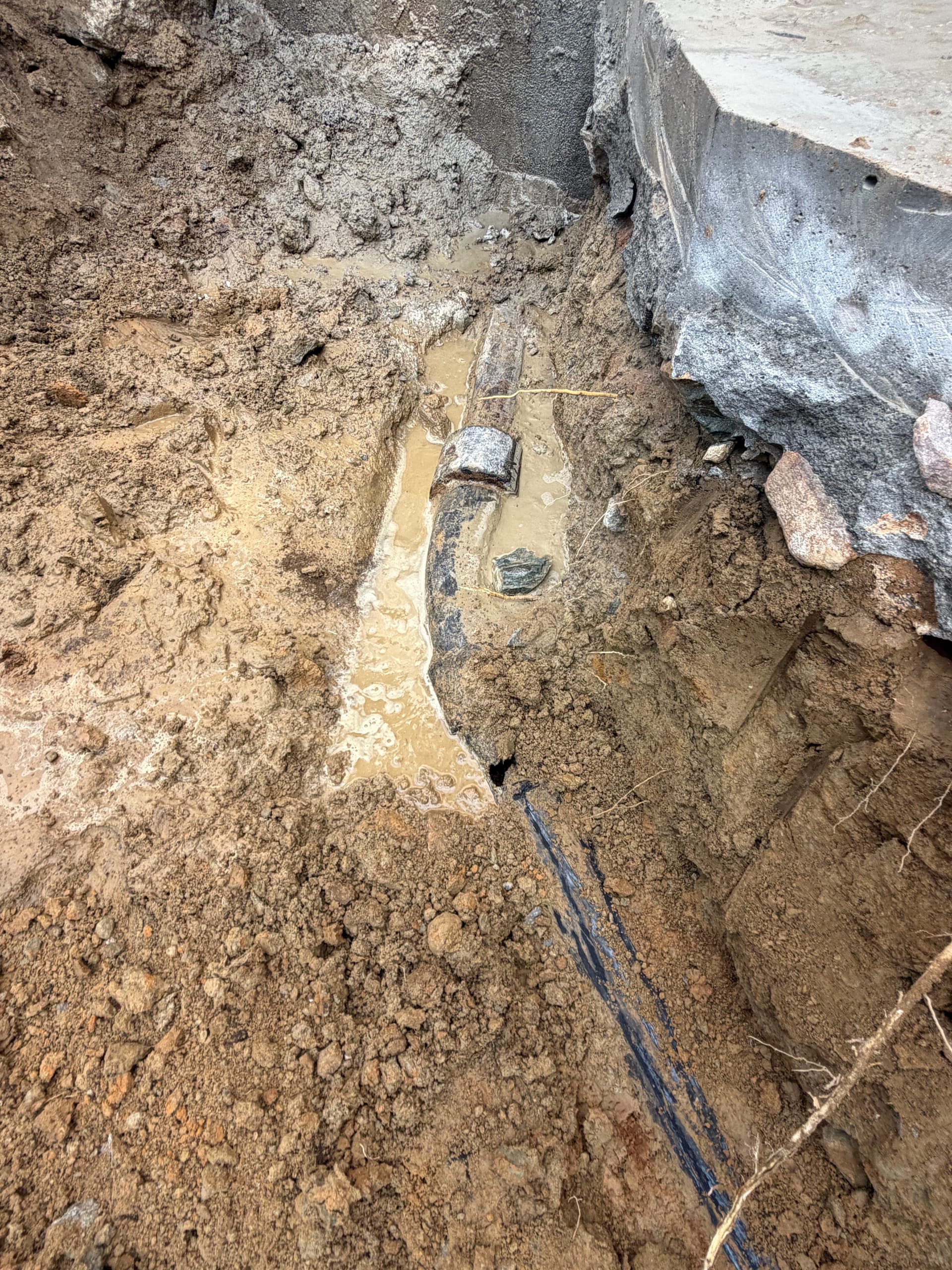 Gallery photos for Sewer Line Replacement and Backyard Site Prep in Southborough: Image #3