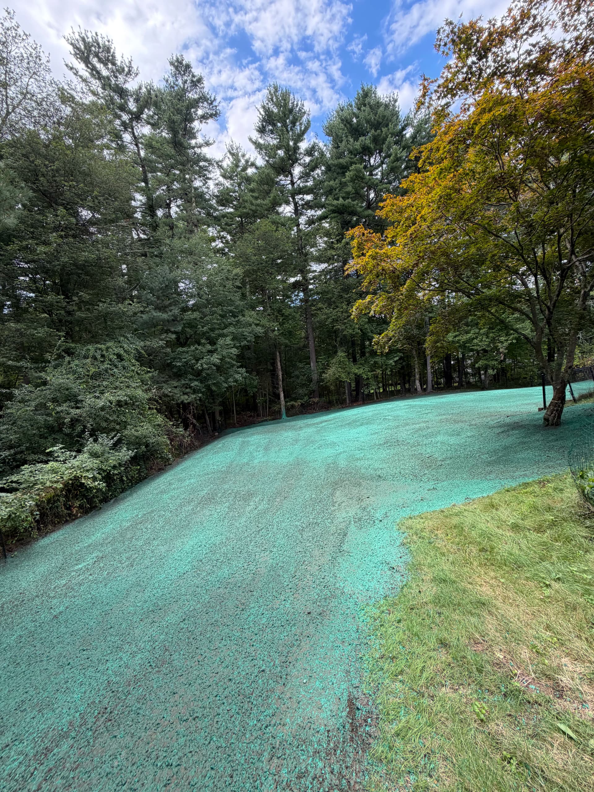 Gallery photos for In-Ground Pool Demo and Yard Reclaim in Millis MA: Image #6