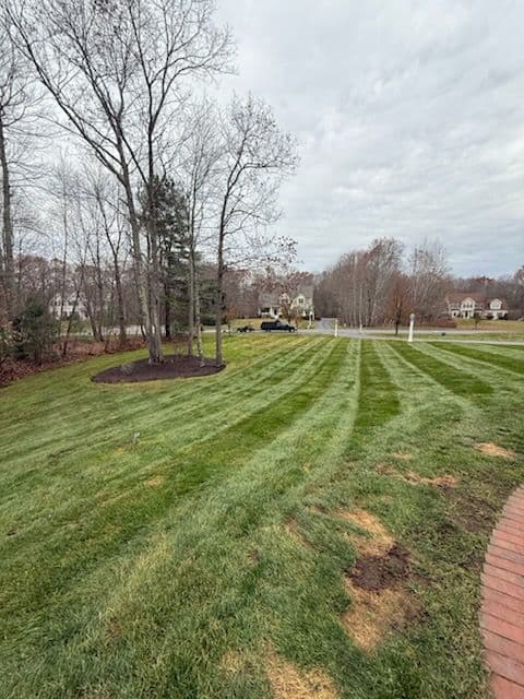 Gallery photos for Fall Cleanups with Nick’s Landscaping: Image #2