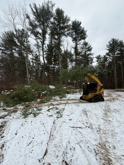 Efficient Land Clearing and Tree Management image