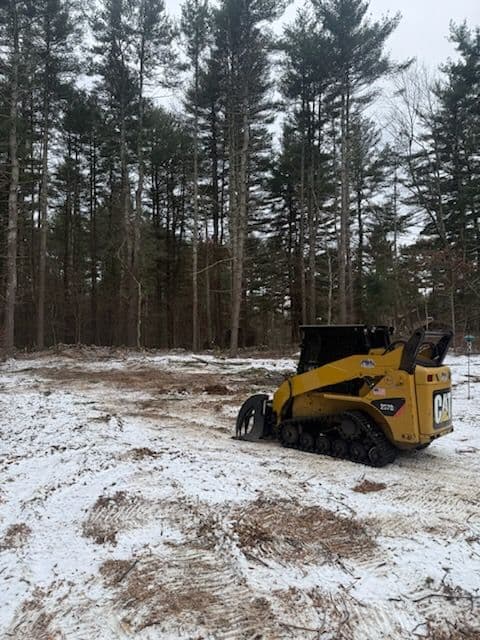 Gallery photos for Efficient Land Clearing and Tree Management: Image #1