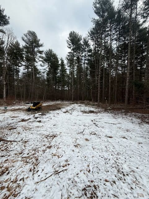 Gallery photos for Efficient Land Clearing and Tree Management: Image #2